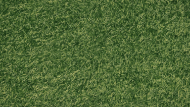 cleat traction comparison for turf vs grass fields: find out